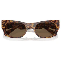 Sunglasses, Oval shape, SK6022, Brown by SWAROVSKI