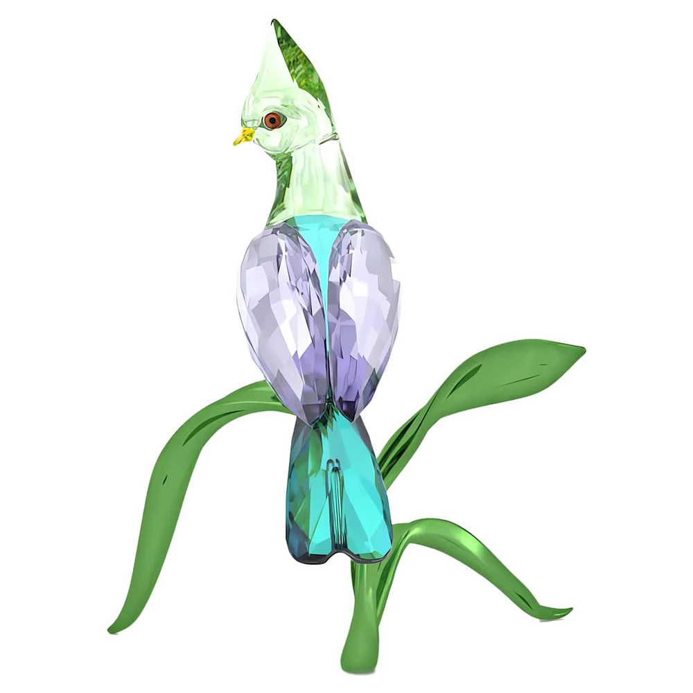 Idyllia Green Turaco by SWAROVSKI
