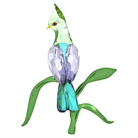 Idyllia Green Turaco by SWAROVSKI