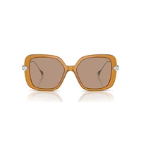 Sunglasses, Oversized, Square shape, SK6011, Brown by SWAROVSKI