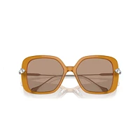 Sunglasses, Oversized, Square shape, SK6011, Brown by SWAROVSKI