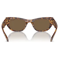 Sunglasses, Oval shape, SK6022, Brown by SWAROVSKI
