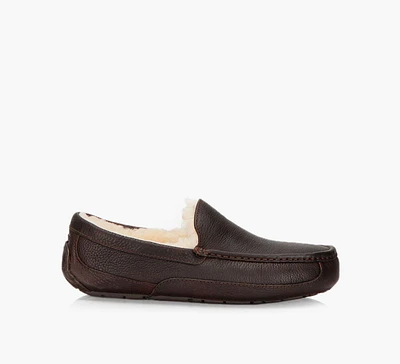 ASCOT SLIPPER