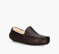 ASCOT SLIPPER