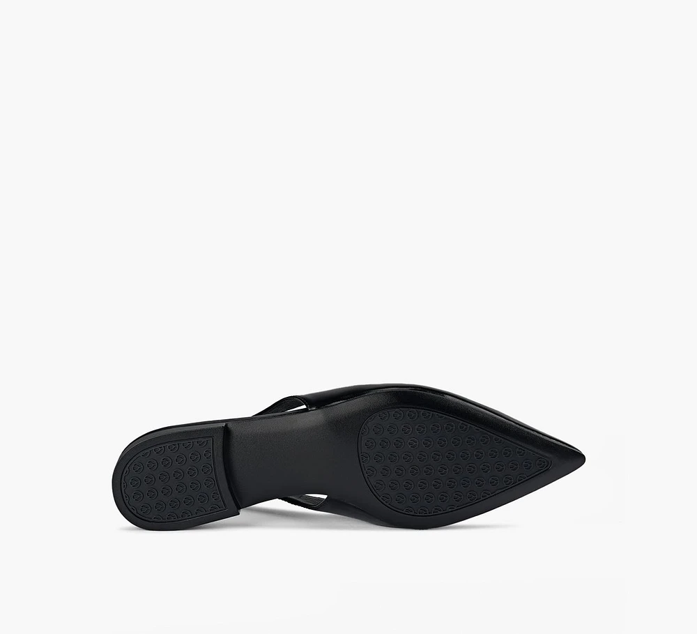 VIOLA FLAT