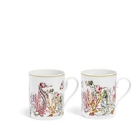Set of Two Mugs