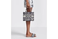Small Dior Book Tote