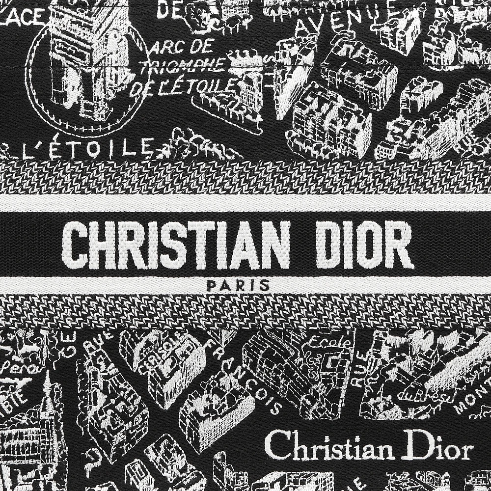 Small Dior Book Tote