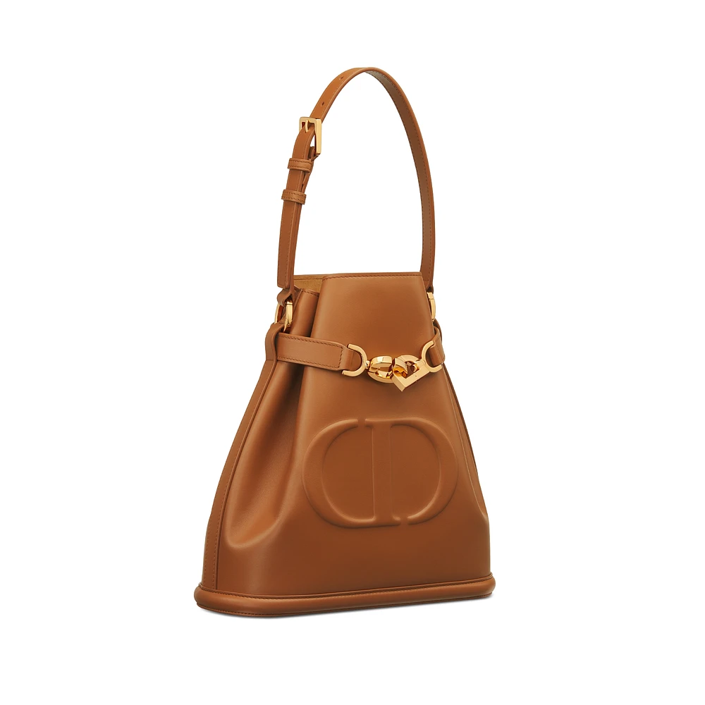 Medium C'est Dior Bag