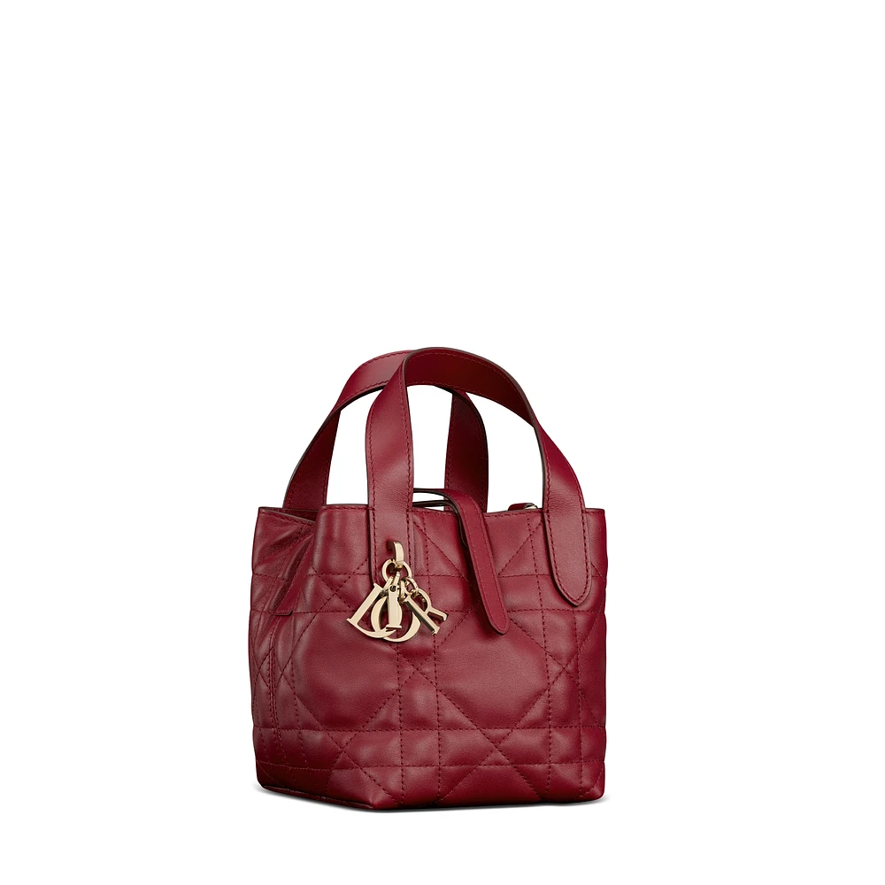 Dior Toujours Vertical Nano Tote Bag