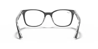 RB5285 Optics