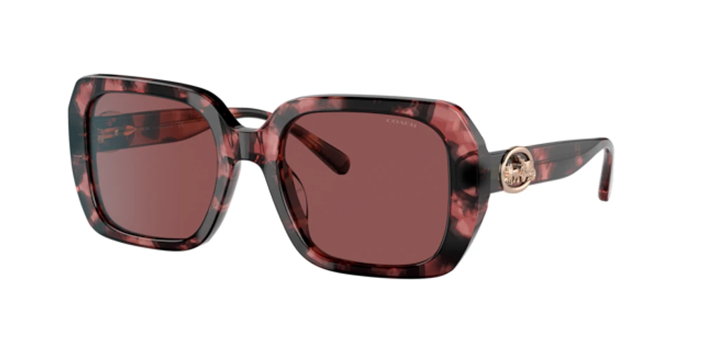 Coach Woman Milky Wine Tortoise