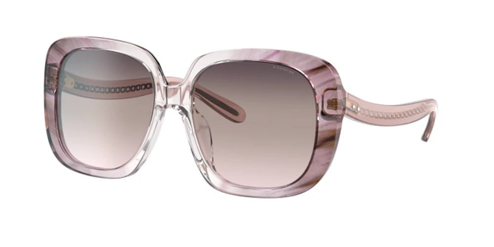 Coach Woman Transparent Pink Ombre