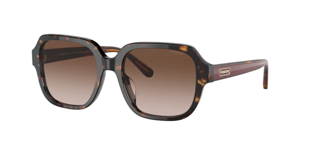 Coach Woman Dark Tortoise
