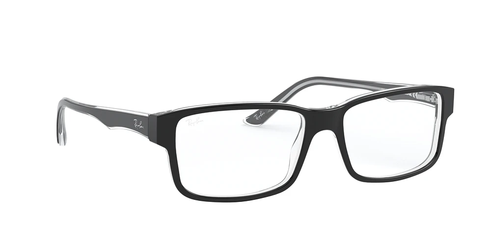 RB5245 Optics