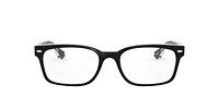 RB5286 Optics