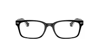 RB5286 Optics