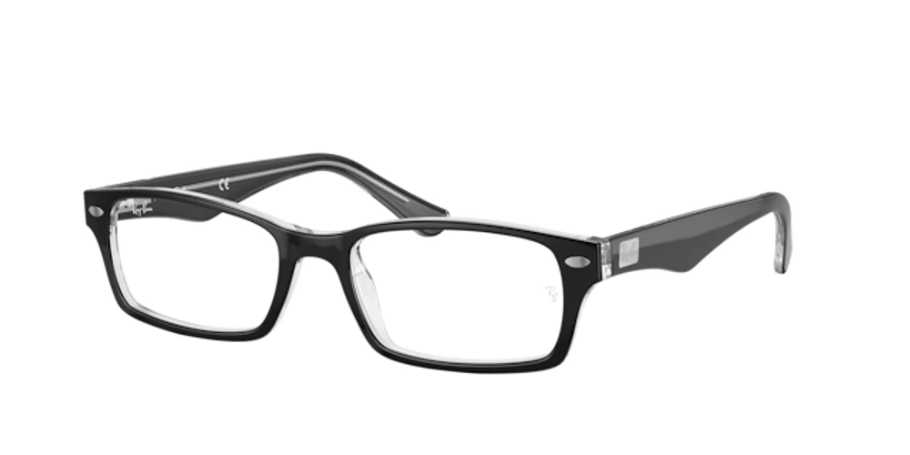 Ray-Ban Unisex Black On Transparent