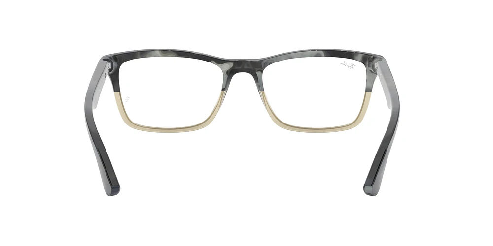 RB5279 Optics