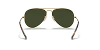 RB3025 Aviator Havana Collection