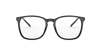 RB5387 Optics
