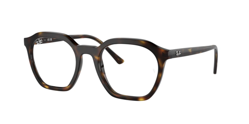 Ray-Ban Unisex