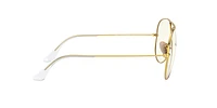 RB3025 Aviator Clear Evolve