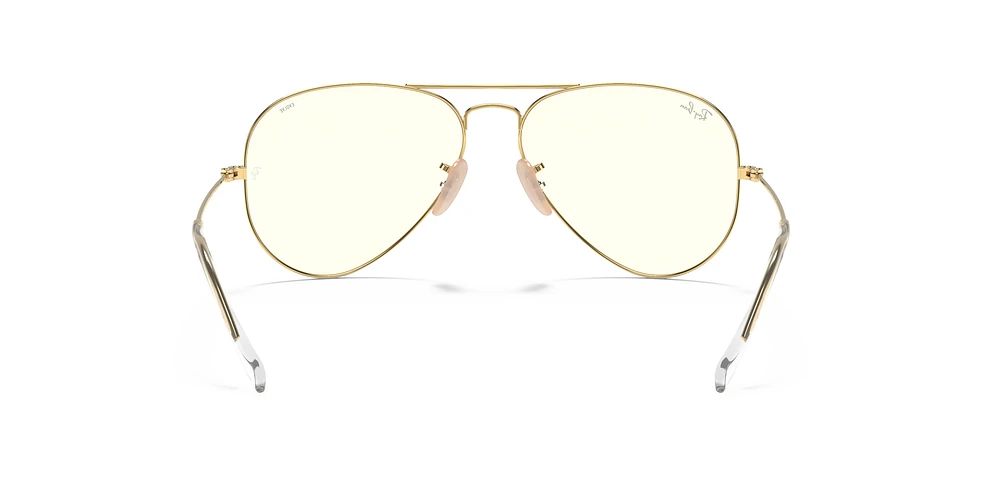 RB3025 Aviator Clear Evolve