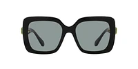 SK6001