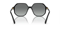 SK6003