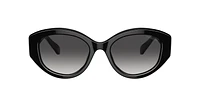 SK6005