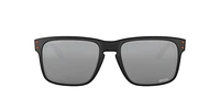 OO9102 Cleveland Browns Holbrook™