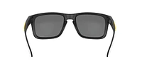 OO9102 Pittsburgh Steelers Holbrook™