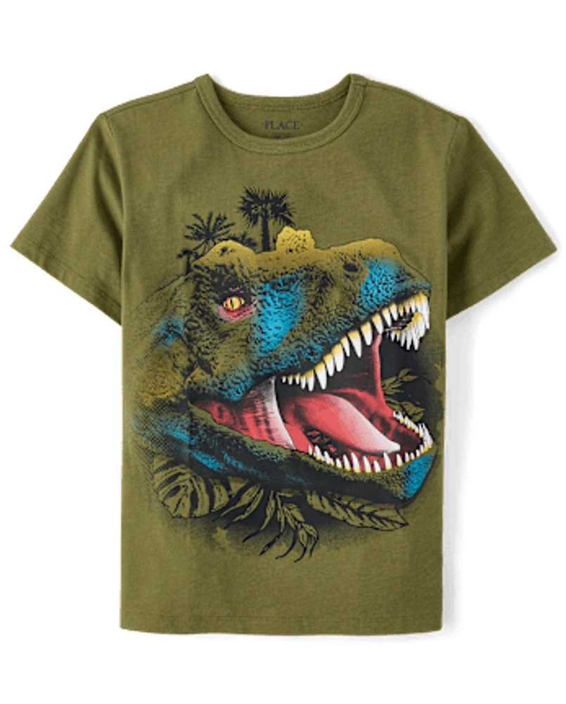 Boys Dino Graphic Tee