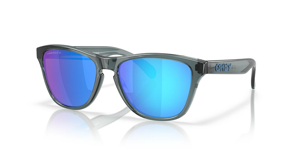 Oakley Men's Frogskins™ S Sunglasses