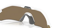 OO9495D Radar® Plate​