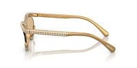 SK6006