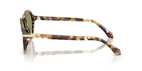 AR8236U