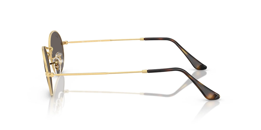 RB3547N Oval Flat Lenses