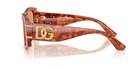 DG4501