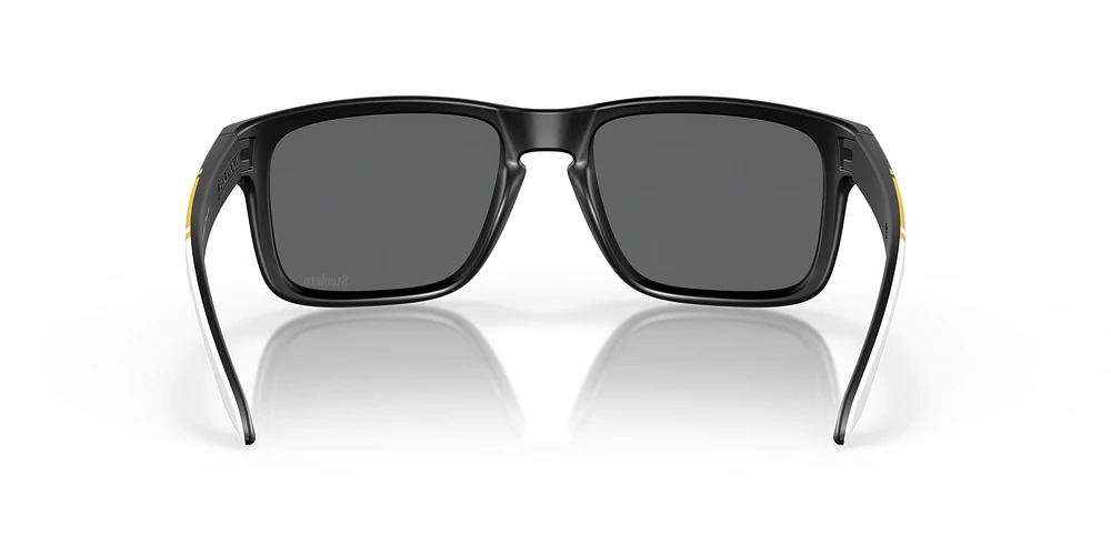 OO9102 Pittsburgh Steelers Holbrook™