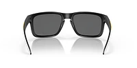 OO9102 Pittsburgh Steelers Holbrook™