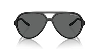 AX4133SF