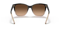 RL8201
