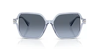 RA5319U