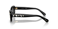 SK6008