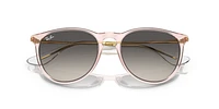 RB4171 Erika Classic