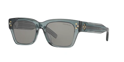 DM40083I