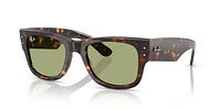 RB0840S Mega Wayfarer Summer Capsule
