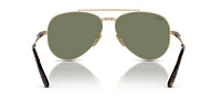 RB8225 Aviator II Titanium